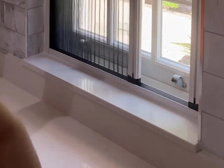 Çayyolu Kedi Sinekliği Haşerelerden Korunmanın Zarif ve Modern Yolu