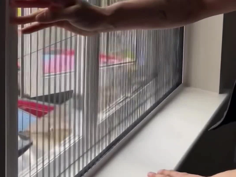 Çayyolu Stor Sineklik Yaratıcı Koruma Sistemleri