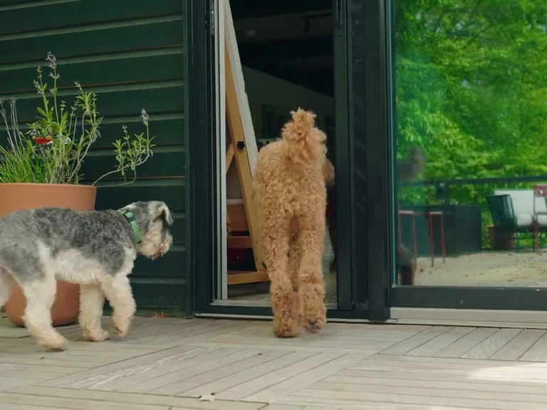 Çayyolu Sürgülü Sineklik Mükemmel Kurulum Garantisi